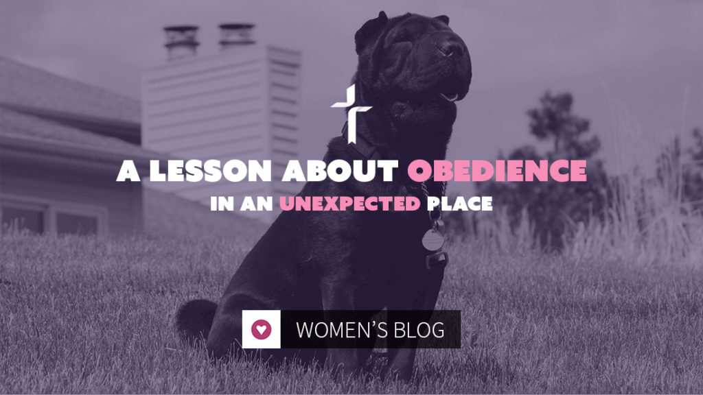lesson about obedience from an unexpected place