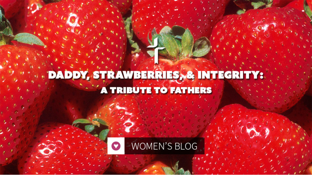 daddy strawberries integrity tribute to fathers