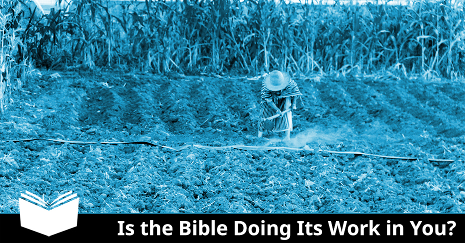 bible doing work in you